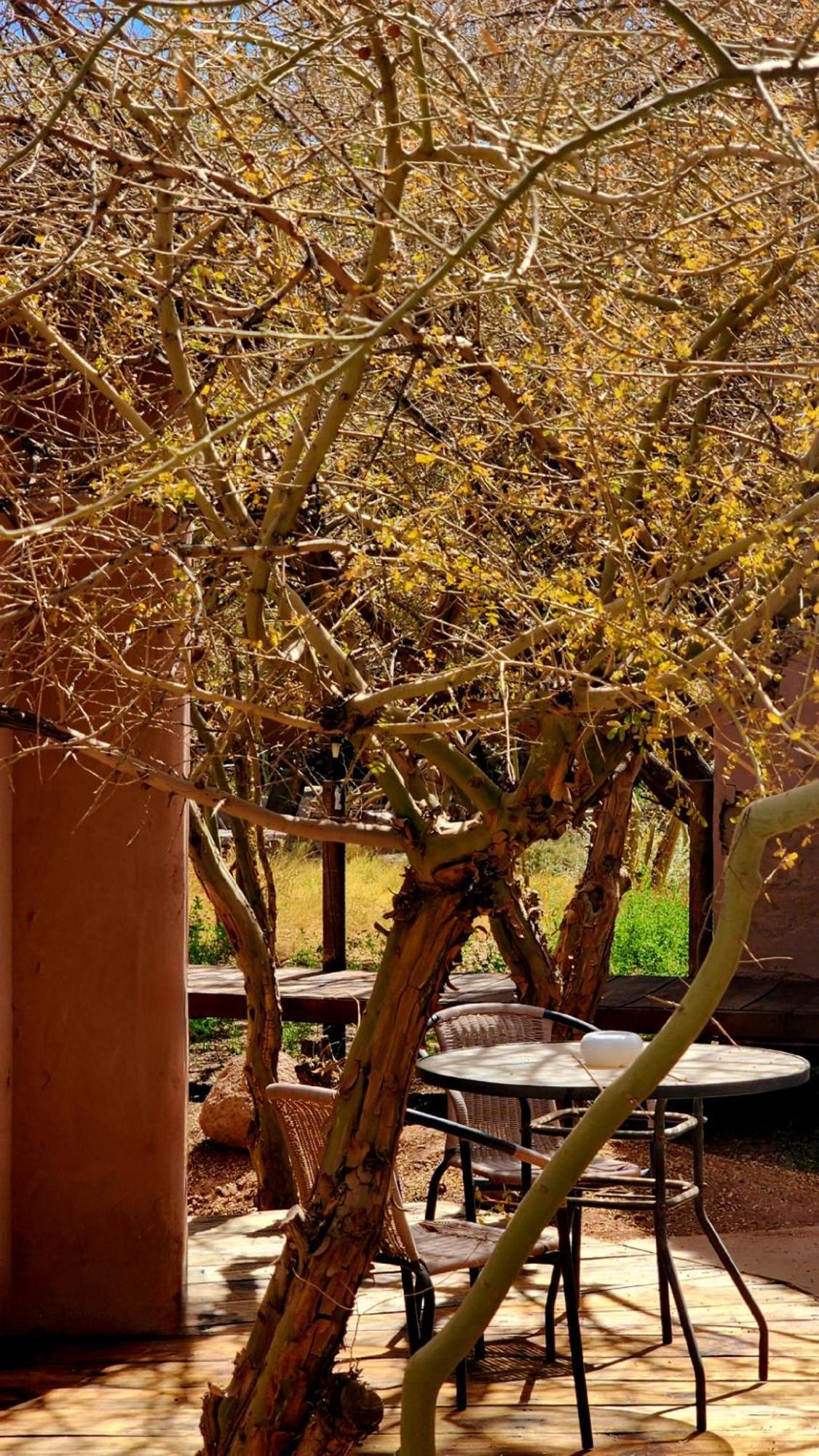 Hotel Tulor San Pedro de Atacama Eksteriør bilde